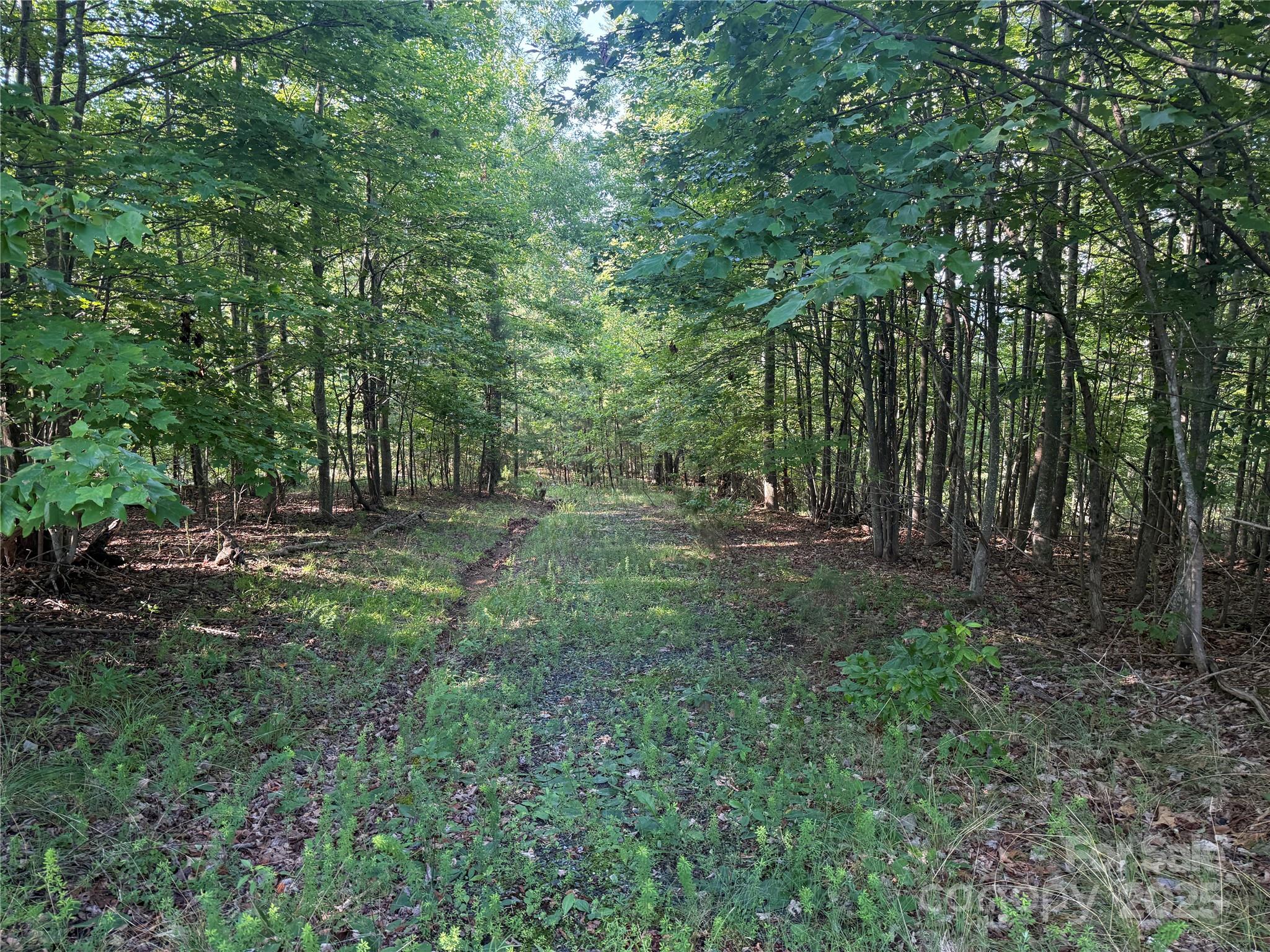 Lot 332 Scenic Vista Drive Nebo NC 28761