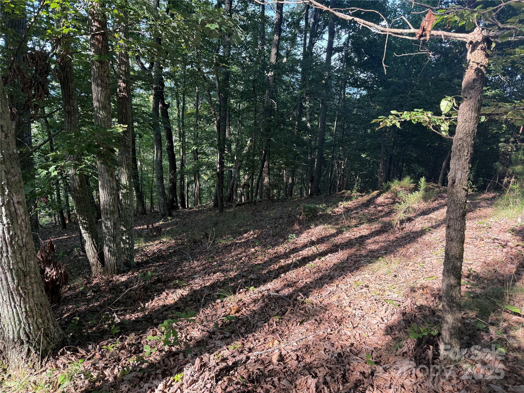 Lot 332 Scenic Vista Drive Nebo NC 28761