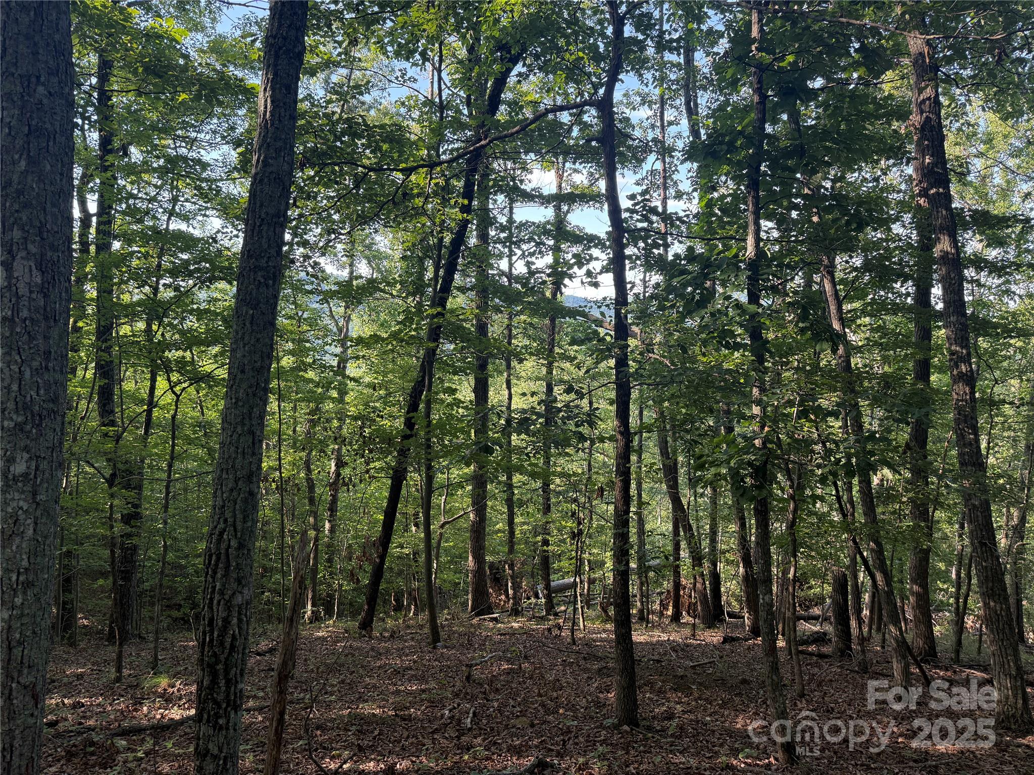 Lot 332 Scenic Vista Drive Nebo NC 28761