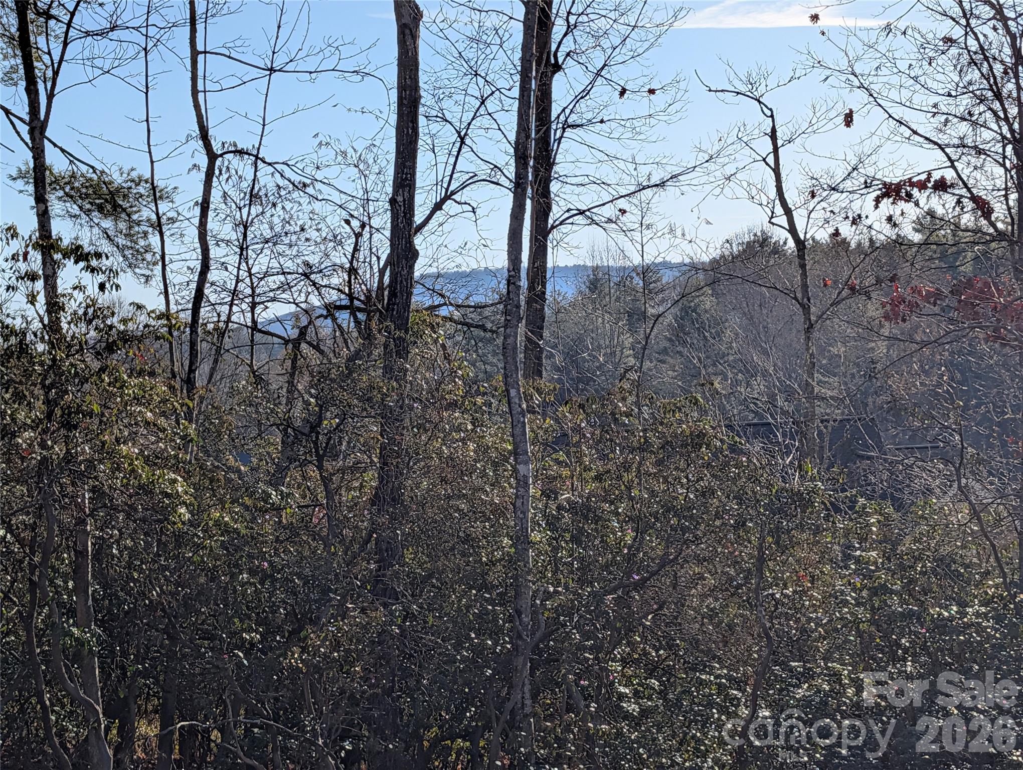 00 Winterberry Drive Hendersonville NC 28739