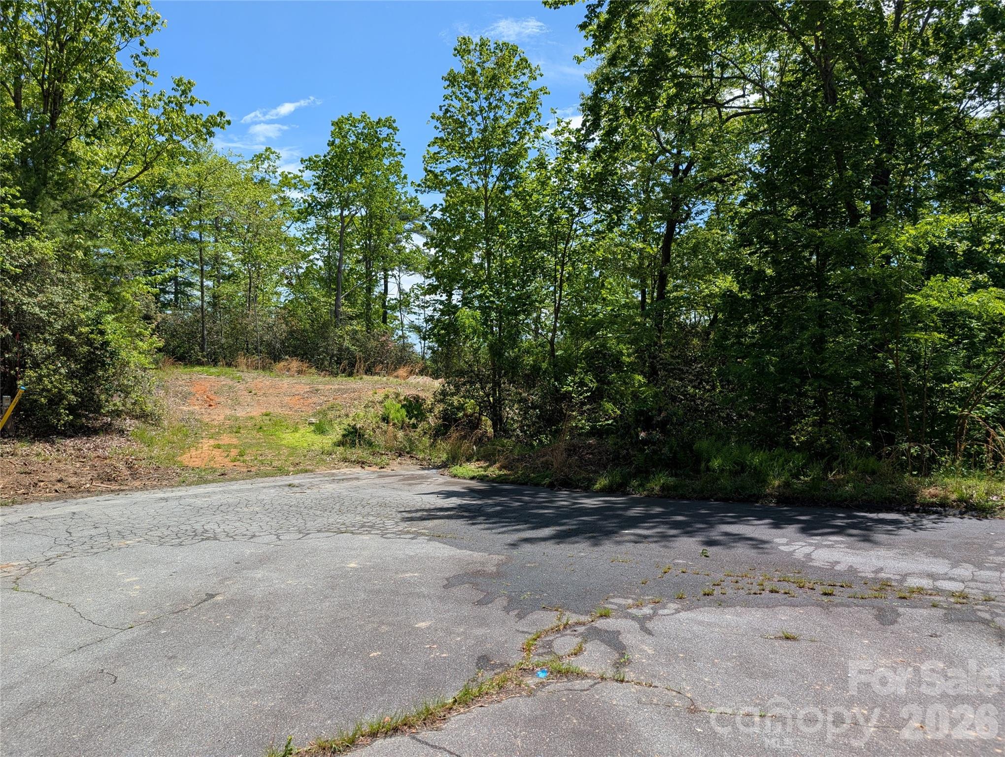 00 Winterberry Drive Hendersonville NC 28739