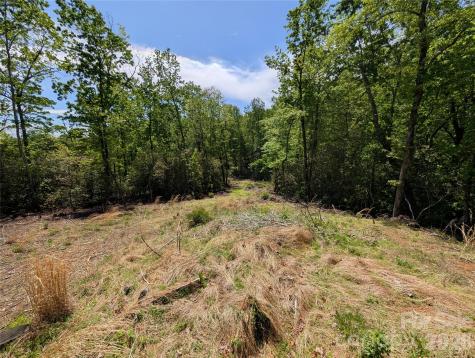 00 Winterberry Drive Hendersonville NC 28739
