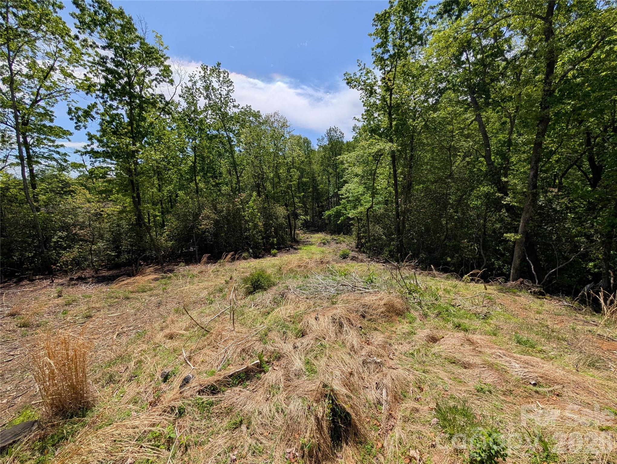00 Winterberry Drive Hendersonville NC 28739