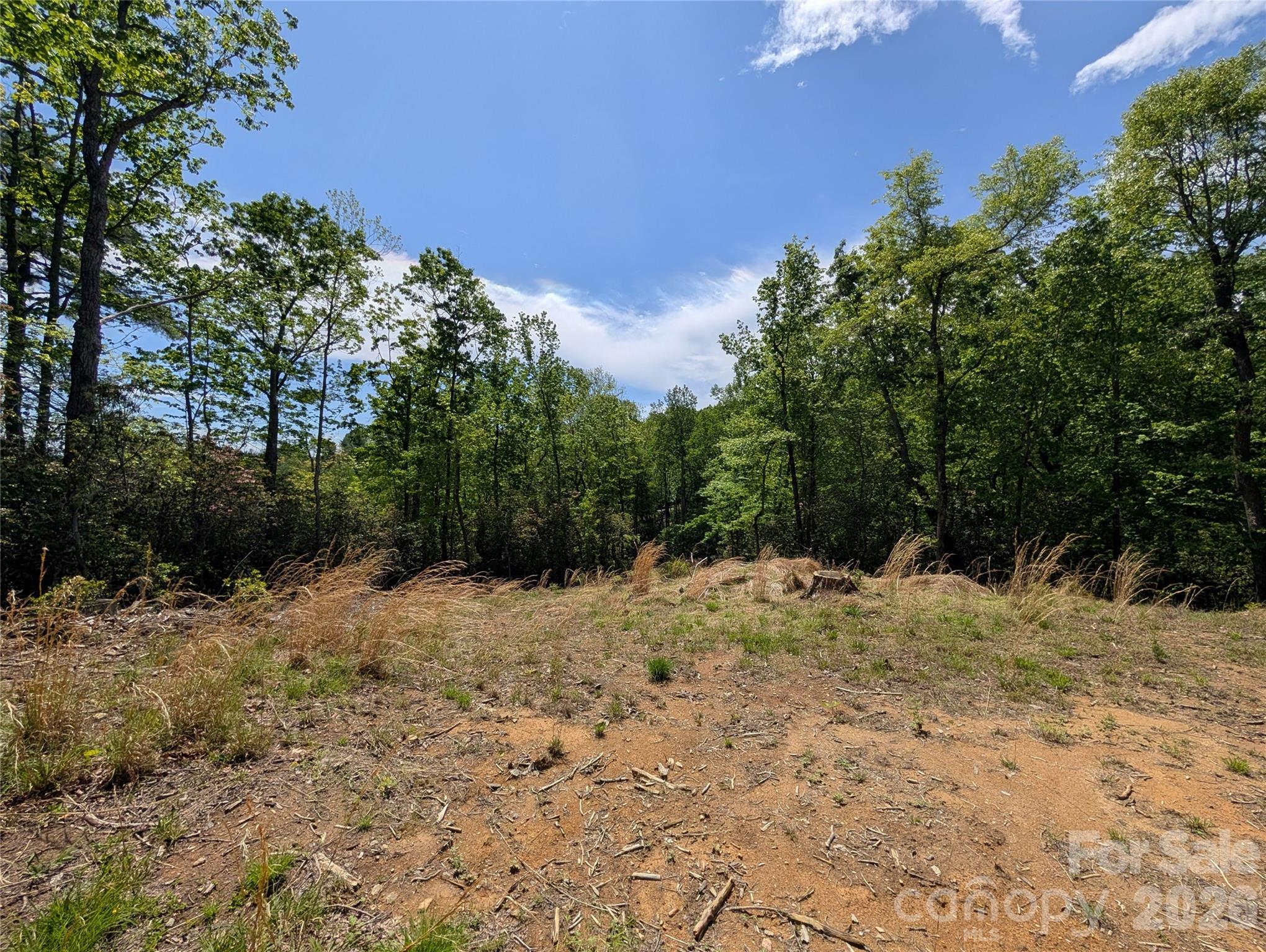 00 Winterberry Drive Hendersonville NC 28739