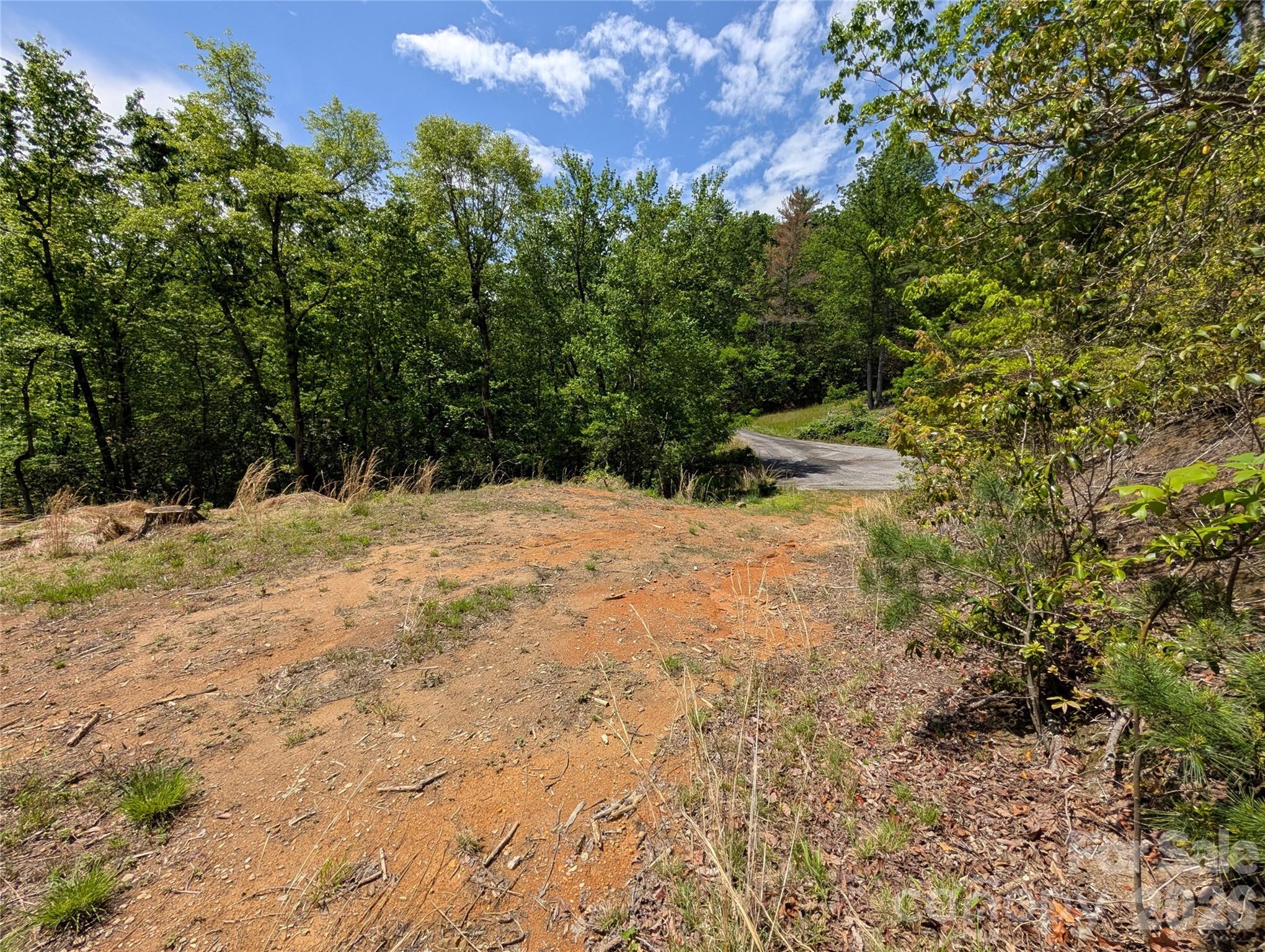 00 Winterberry Drive Hendersonville NC 28739