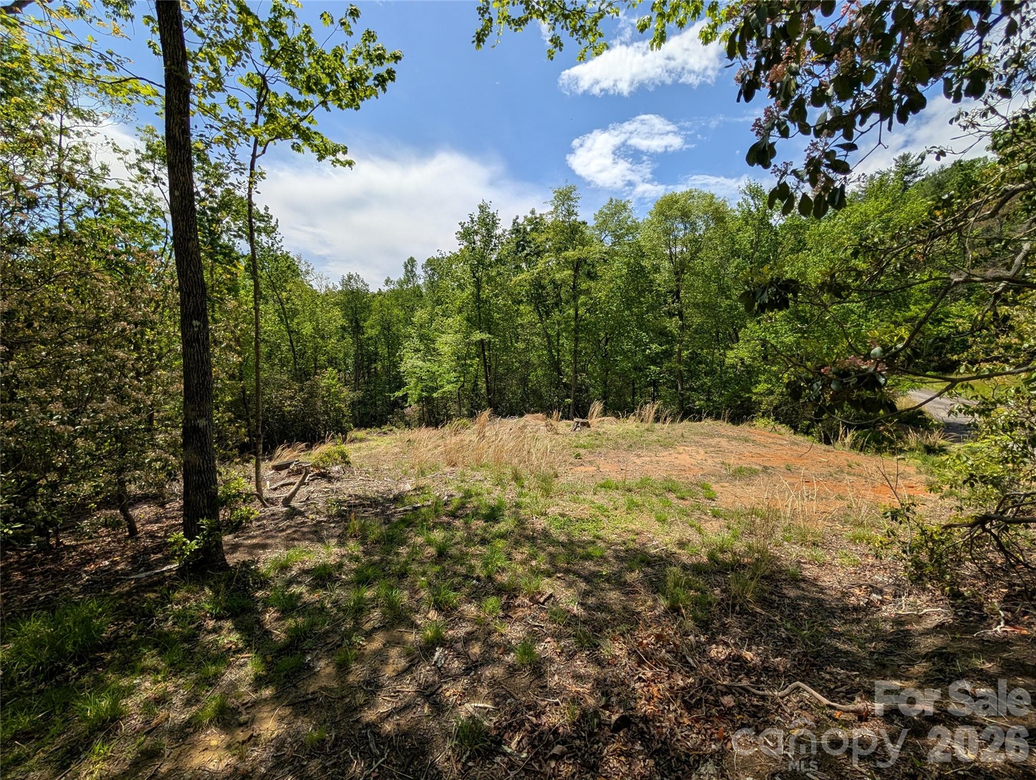00 Winterberry Drive Hendersonville NC 28739
