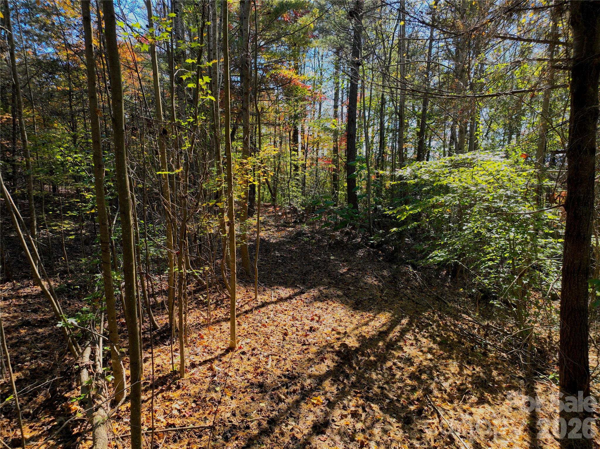 2800 Snipes Street Morganton NC 28655