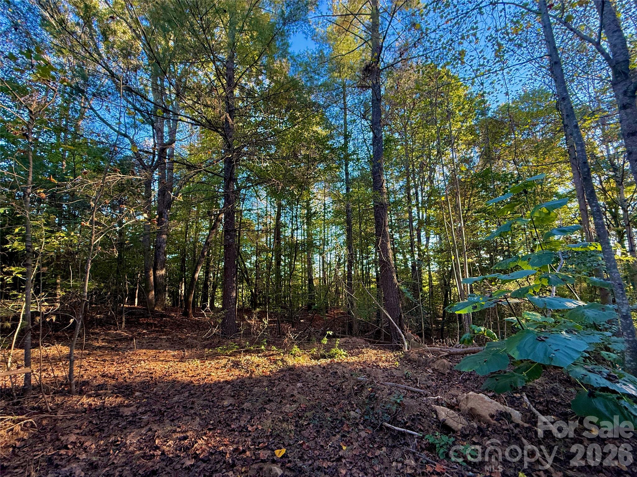 2800 Snipes Street Morganton NC 28655