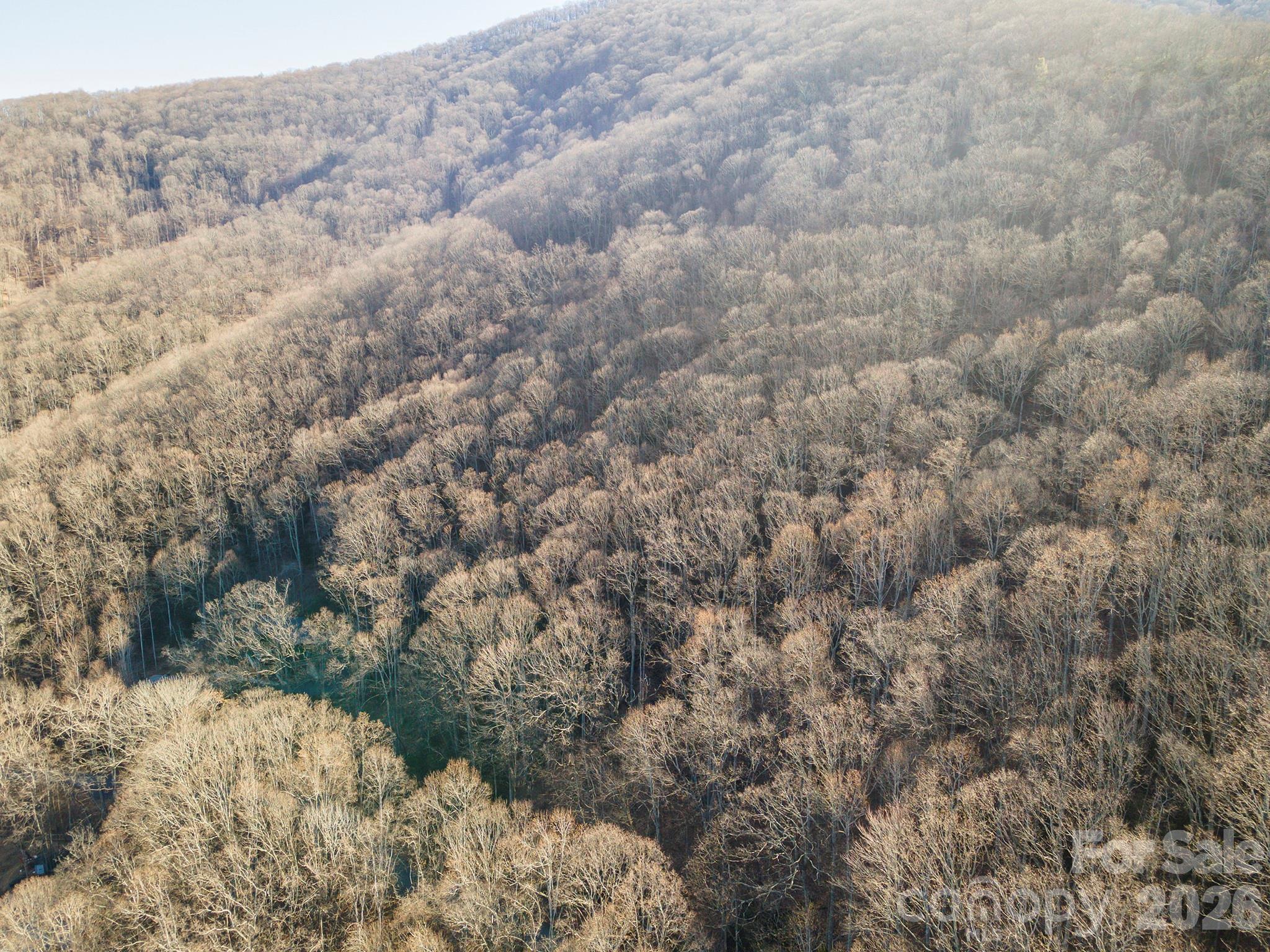 00 Wildflower Cove Road Swannanoa NC 28778