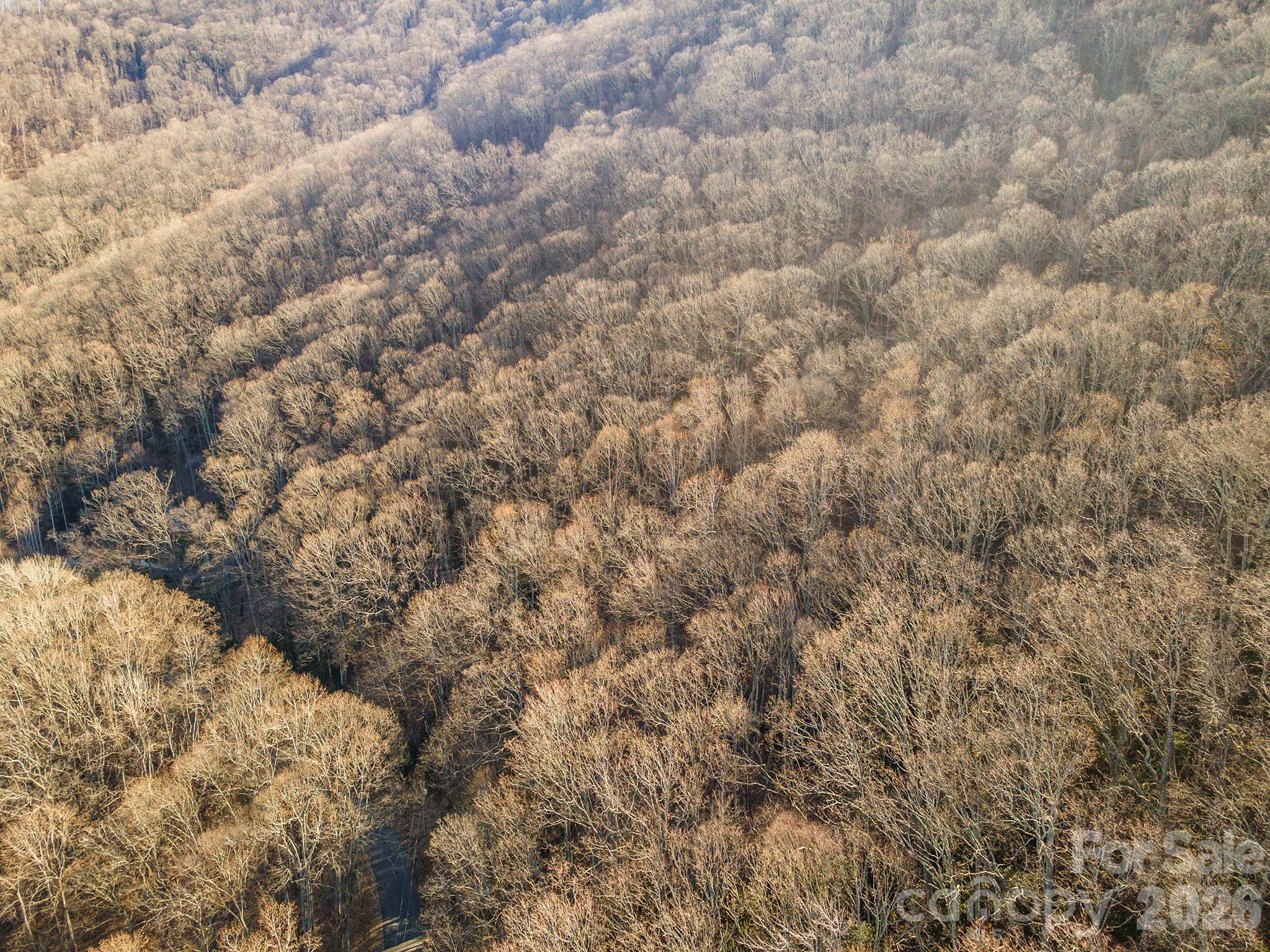 00 Wildflower Cove Road Swannanoa NC 28778