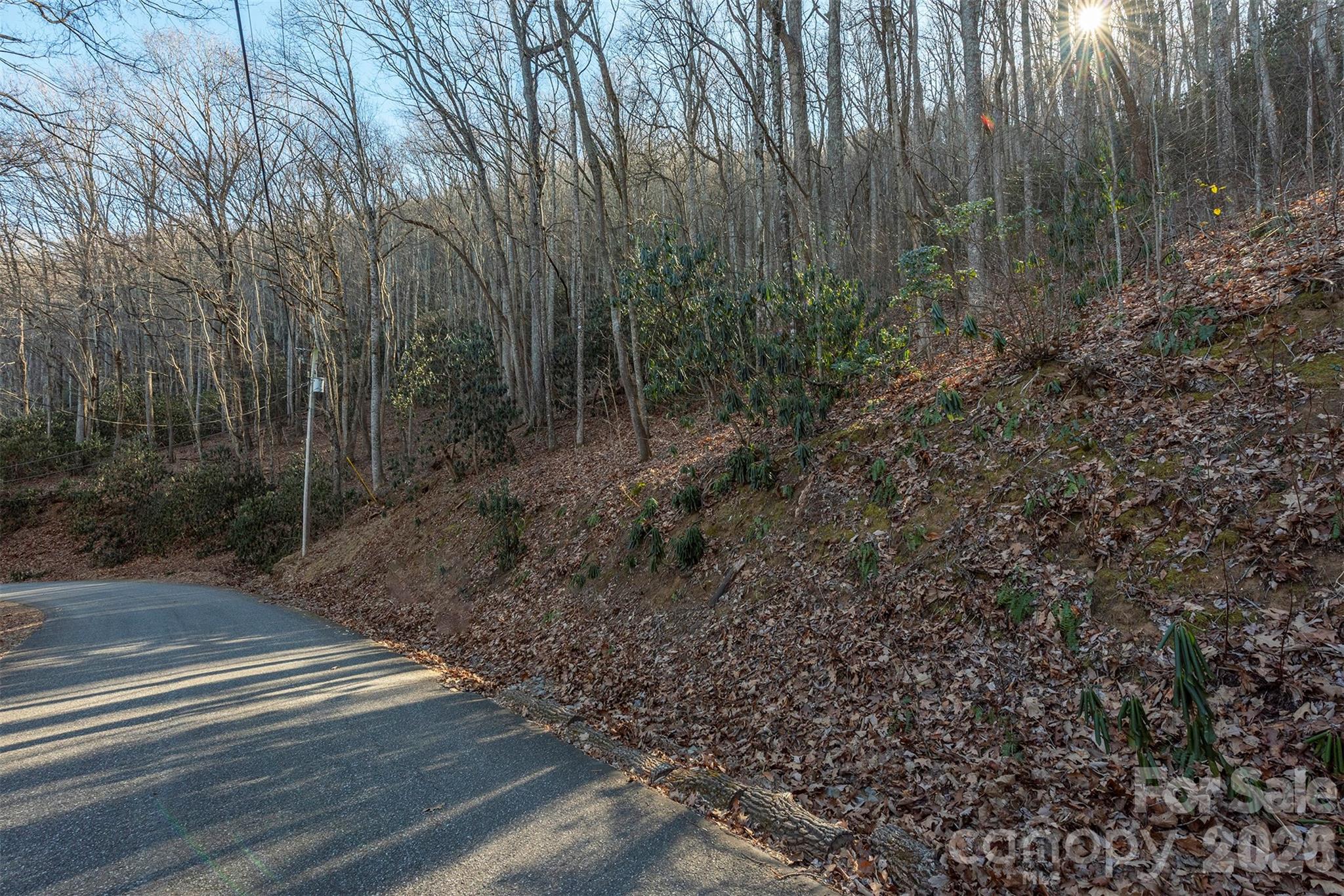00 Wildflower Cove Road Swannanoa NC 28778