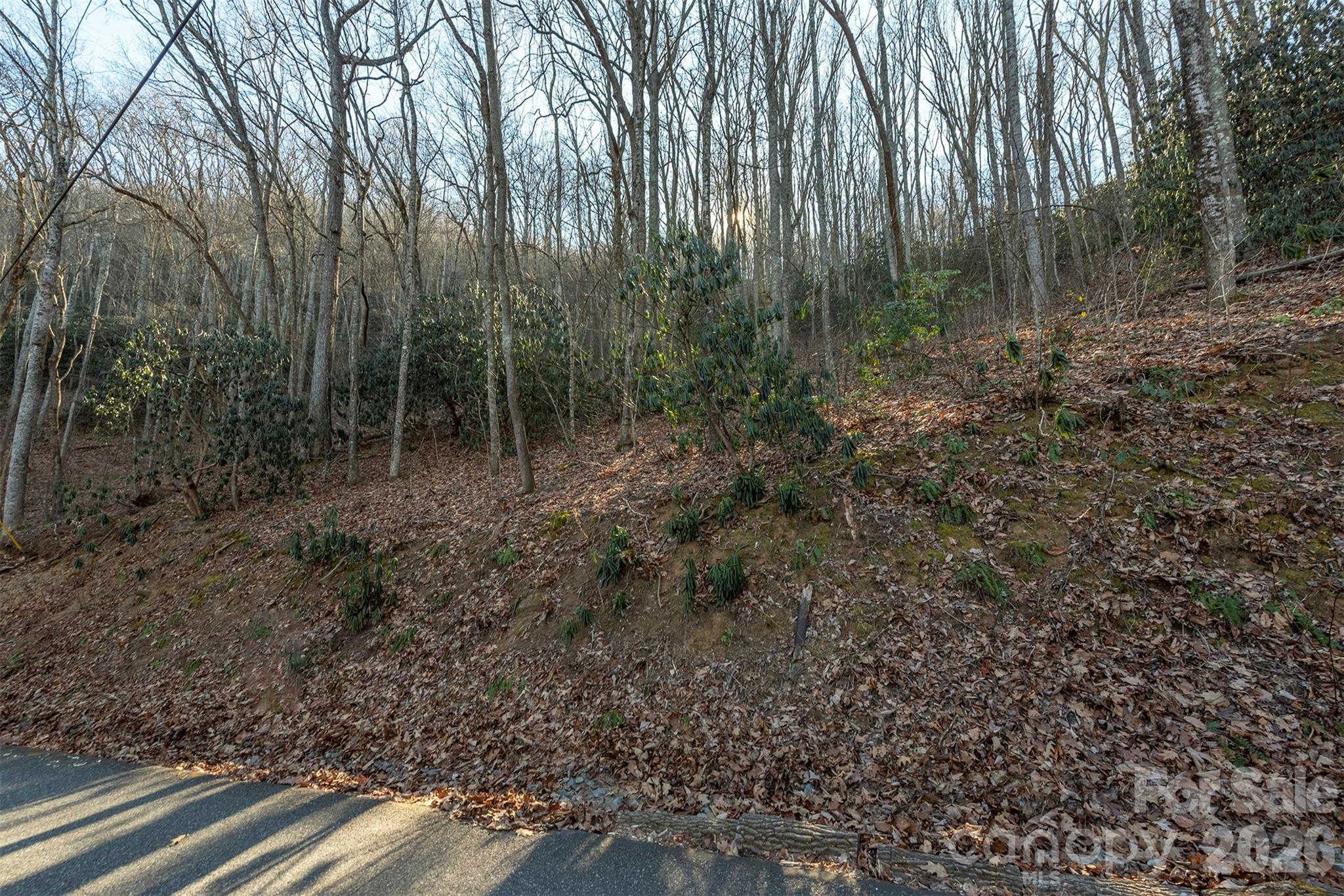 00 Wildflower Cove Road Swannanoa NC 28778