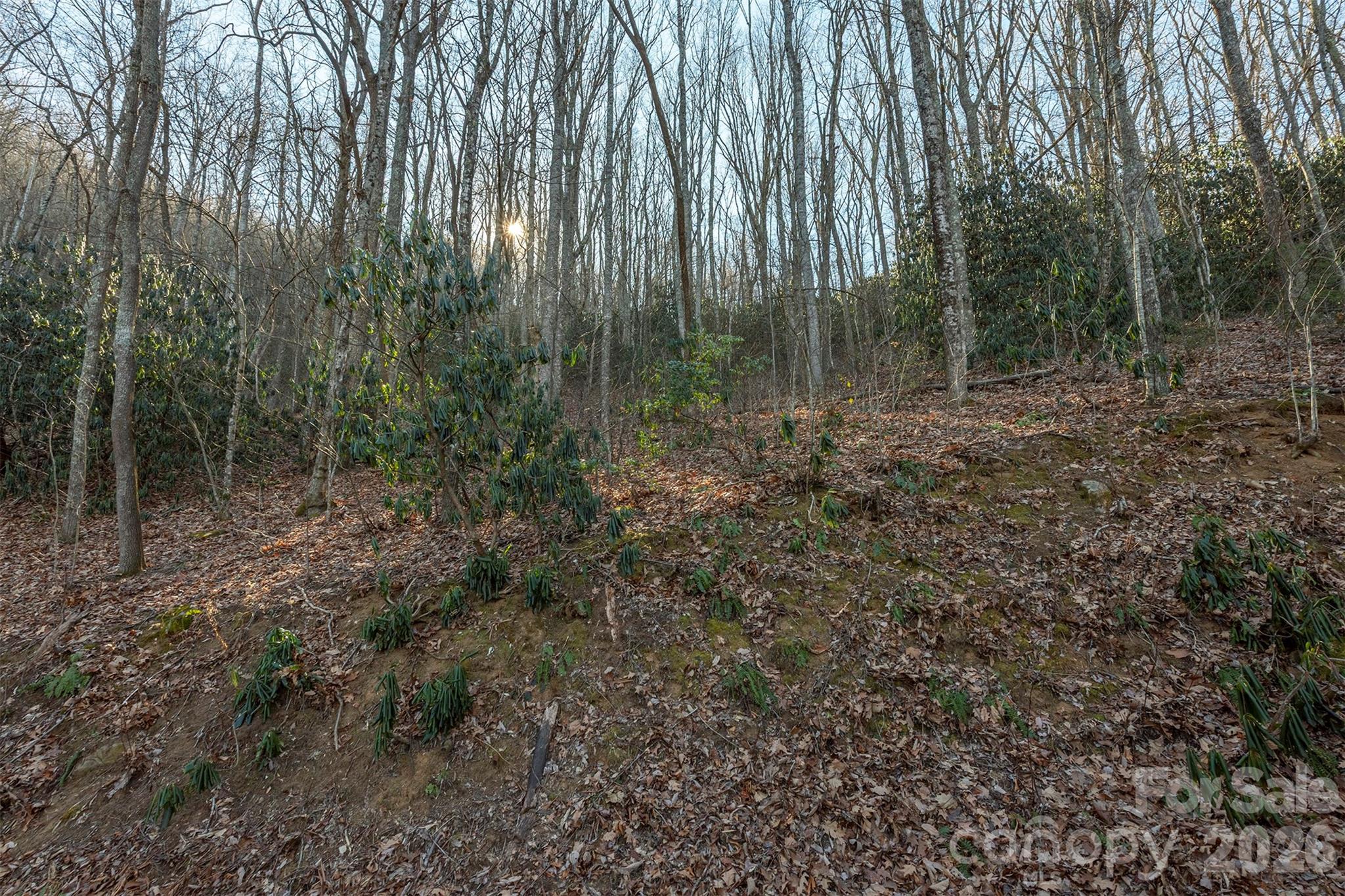 00 Wildflower Cove Road Swannanoa NC 28778