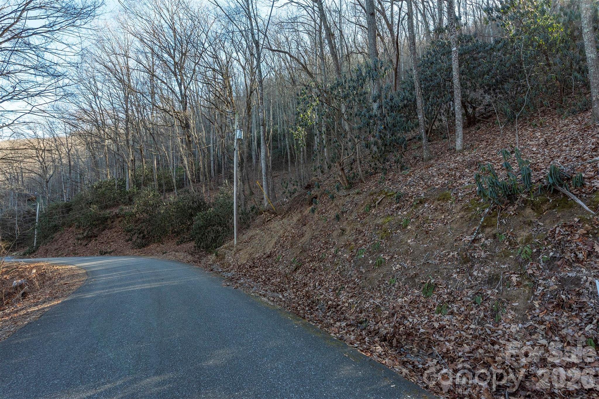 00 Wildflower Cove Road Swannanoa NC 28778