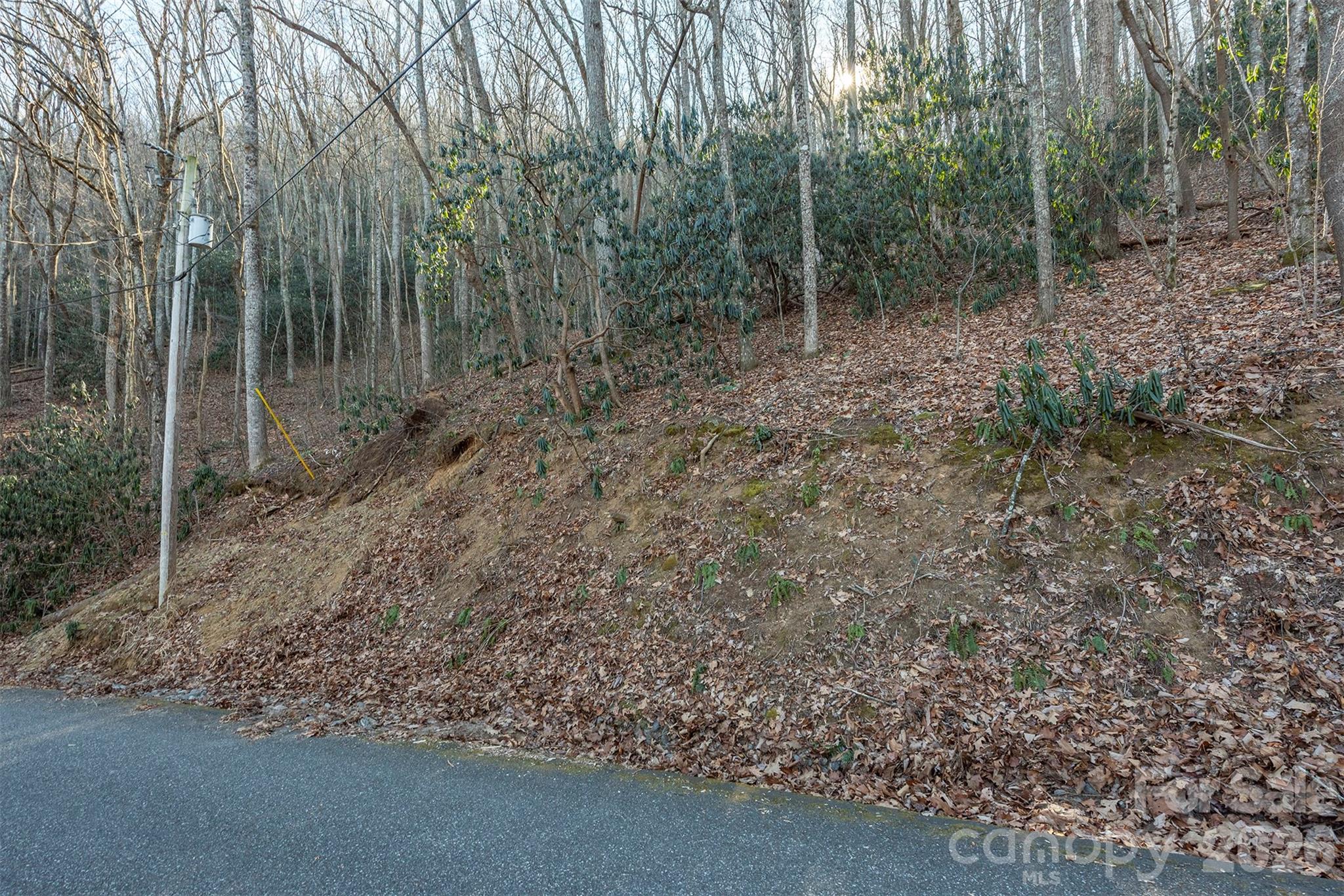 00 Wildflower Cove Road Swannanoa NC 28778