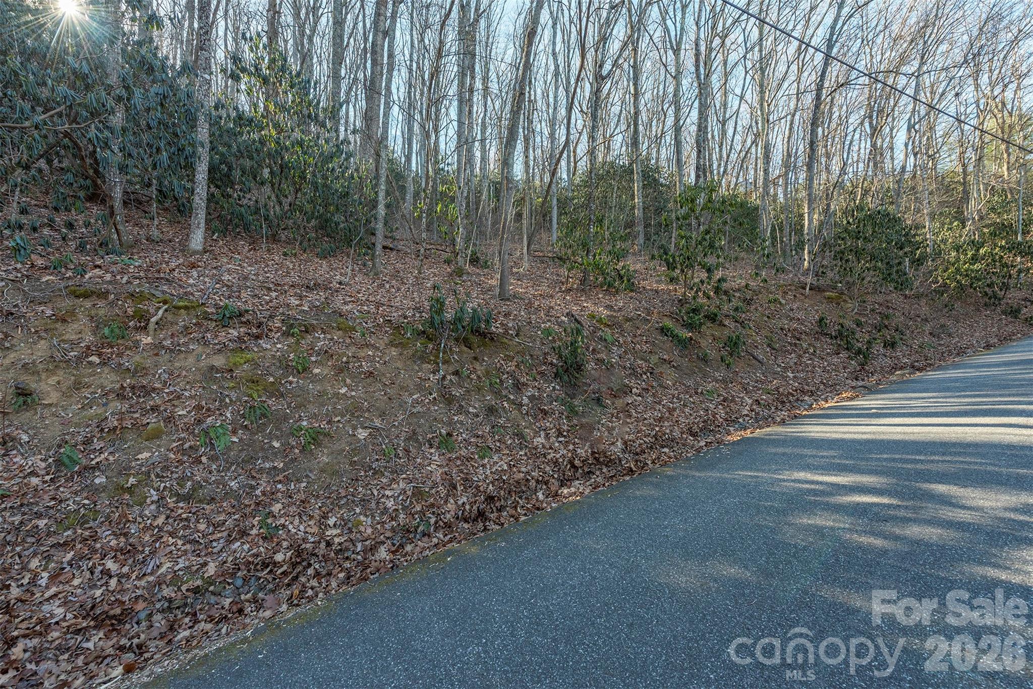 00 Wildflower Cove Road Swannanoa NC 28778