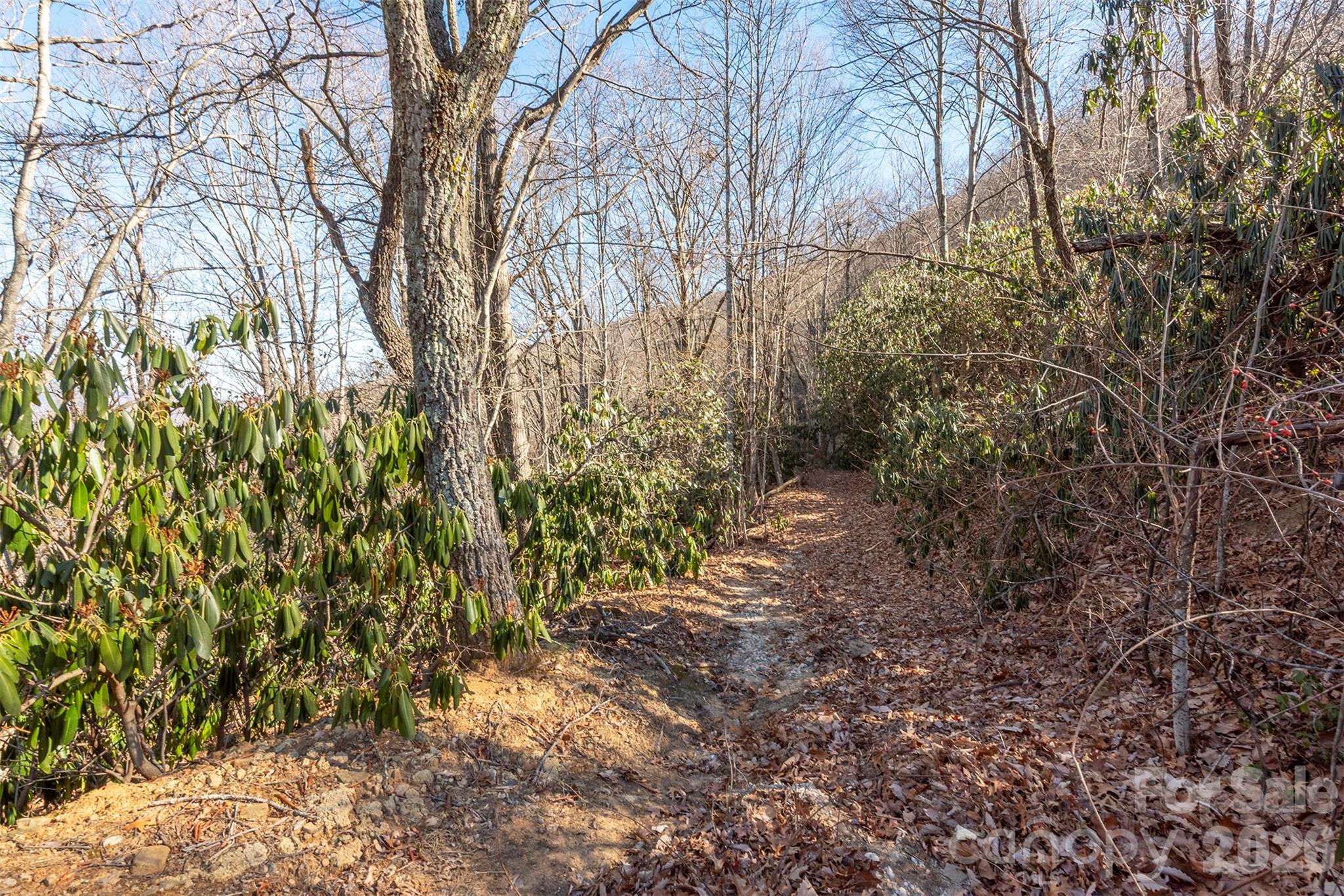 00 Wildflower Cove Road Swannanoa NC 28778
