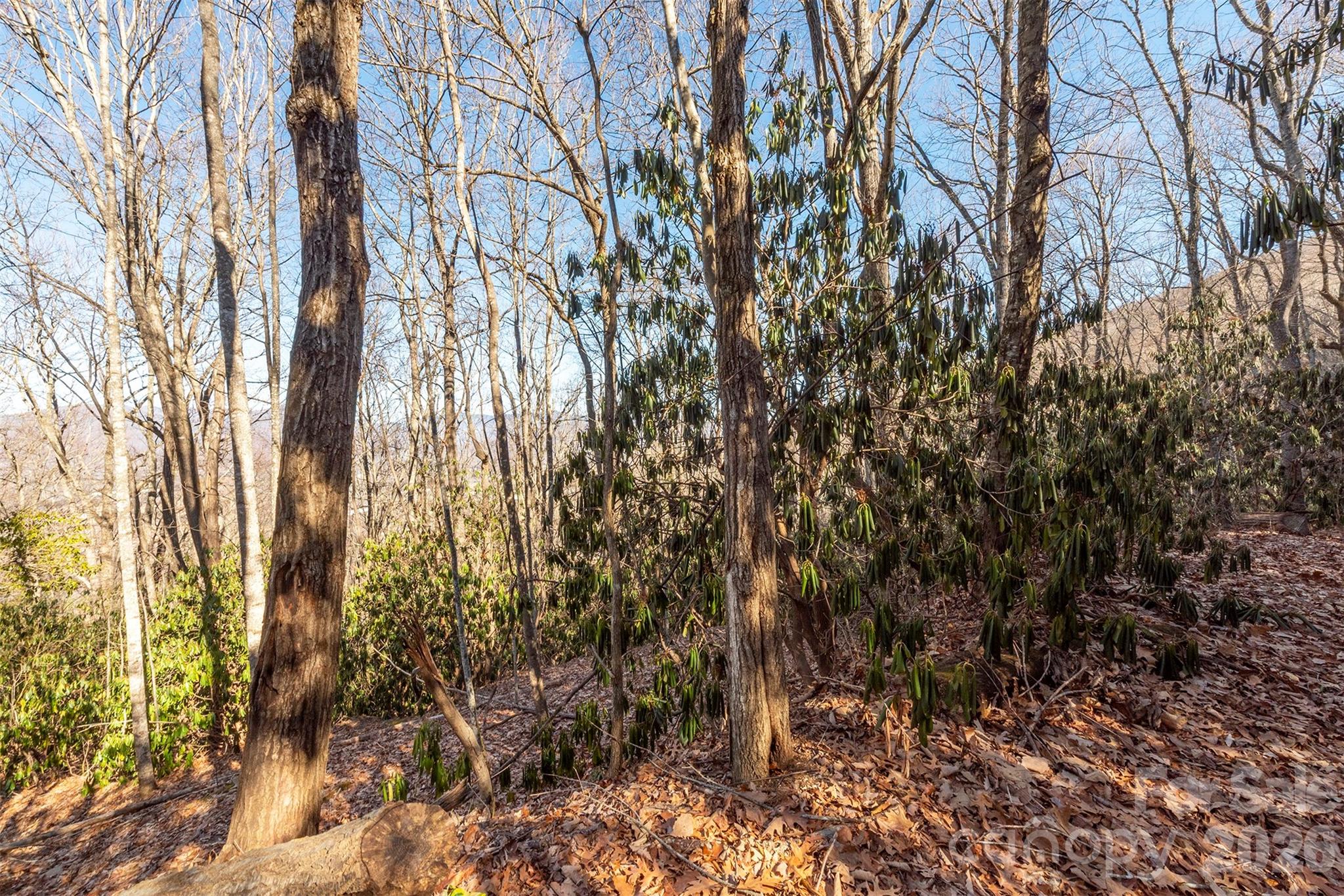 00 Wildflower Cove Road Swannanoa NC 28778