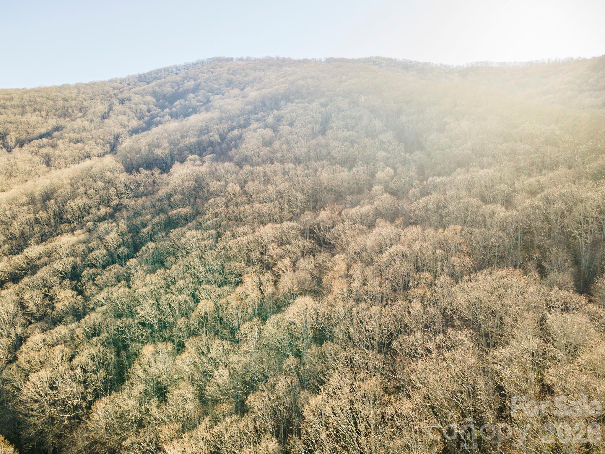 00 Wildflower Cove Road Swannanoa NC 28778