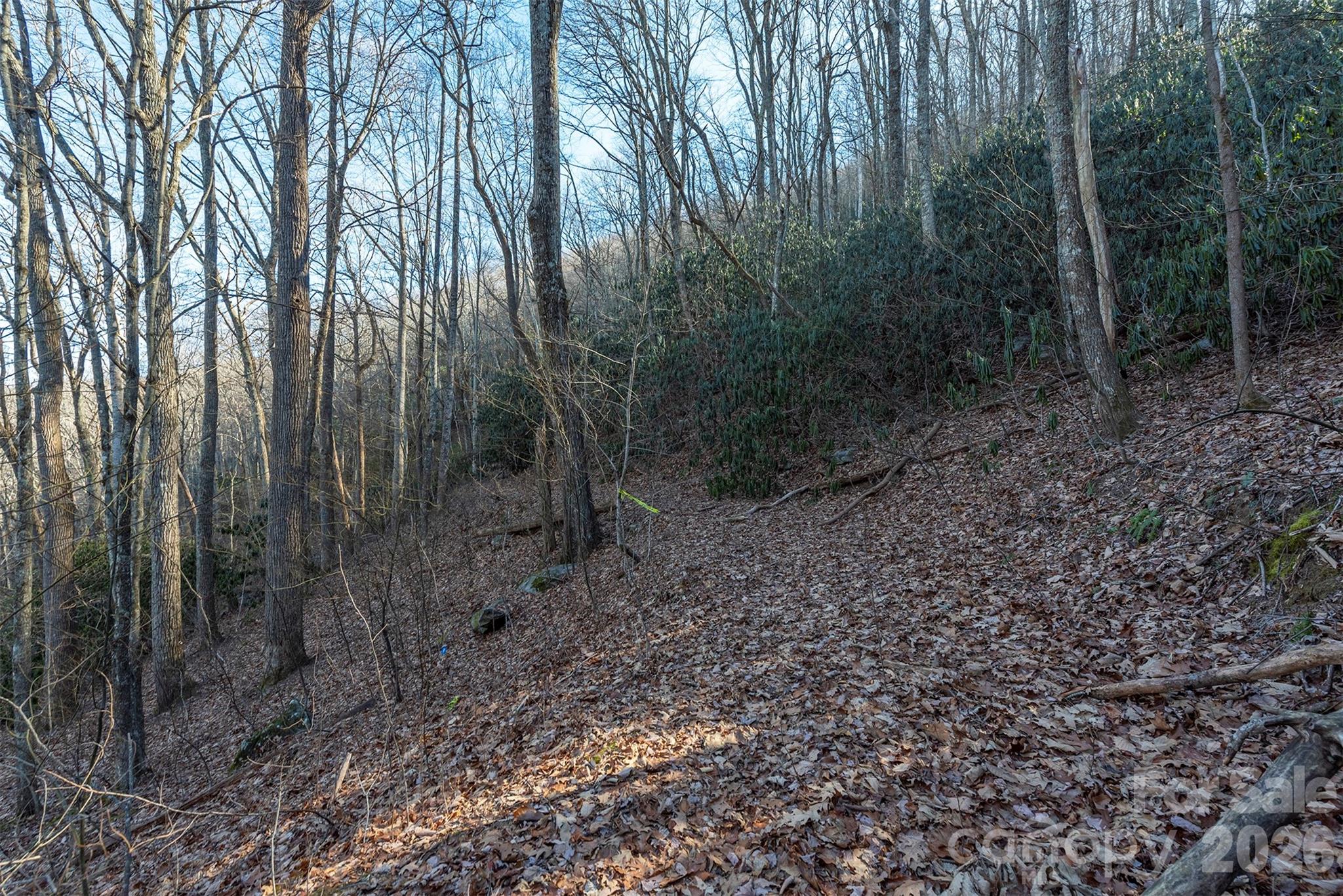 00 Wildflower Cove Road Swannanoa NC 28778