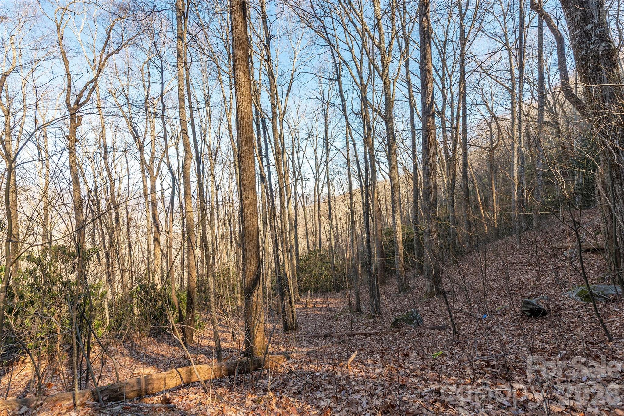 00 Wildflower Cove Road Swannanoa NC 28778