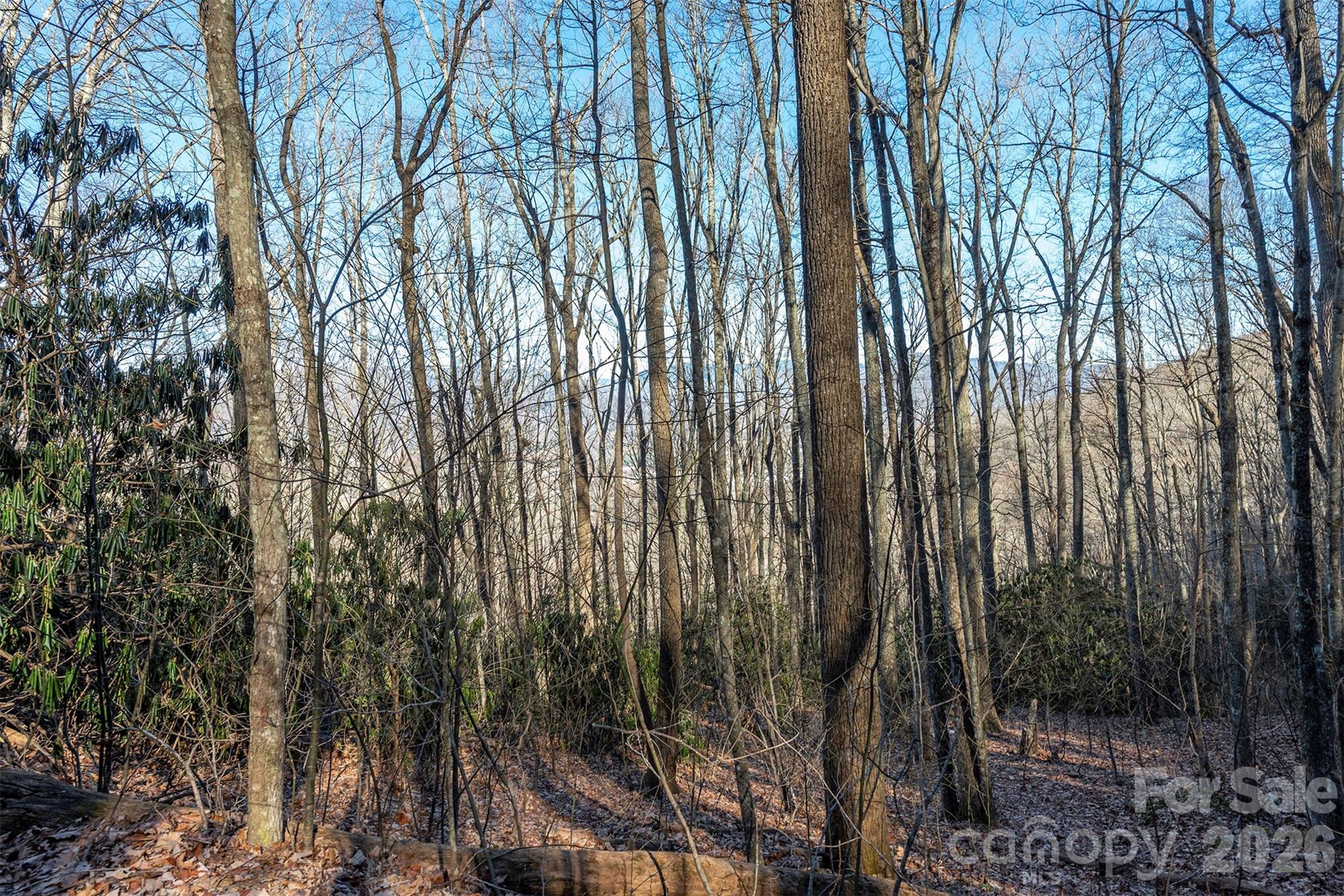 00 Wildflower Cove Road Swannanoa NC 28778