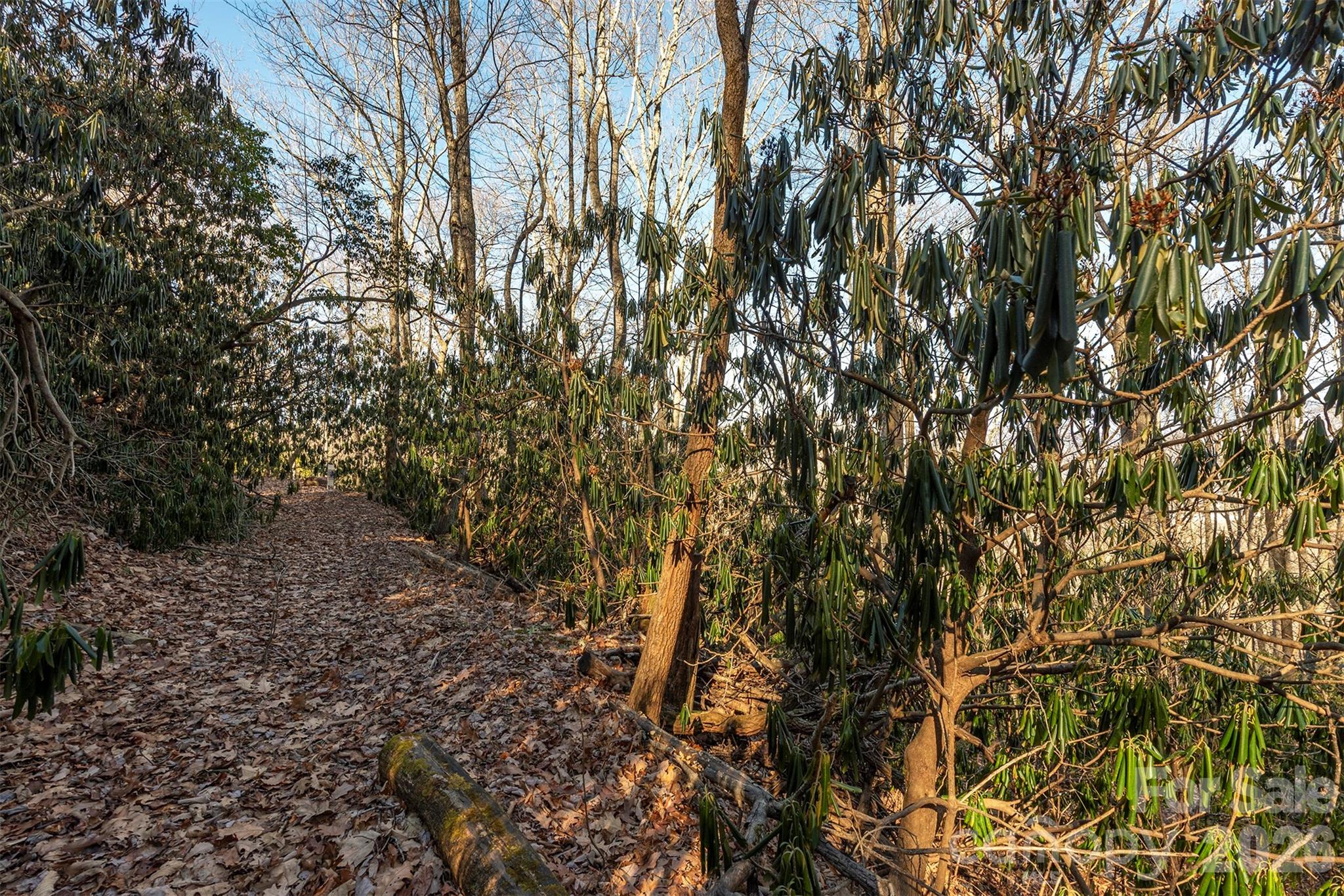 00 Wildflower Cove Road Swannanoa NC 28778