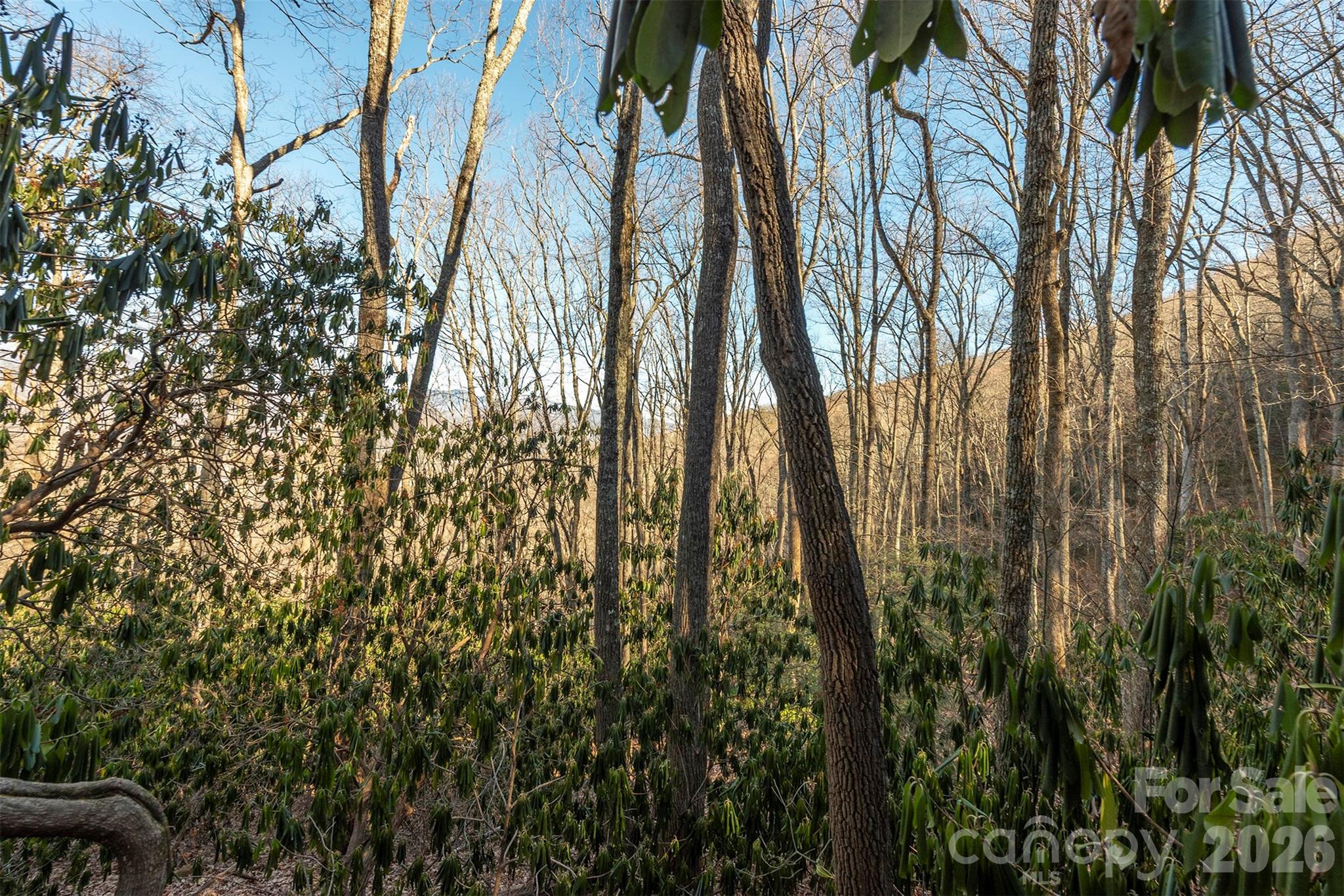 00 Wildflower Cove Road Swannanoa NC 28778