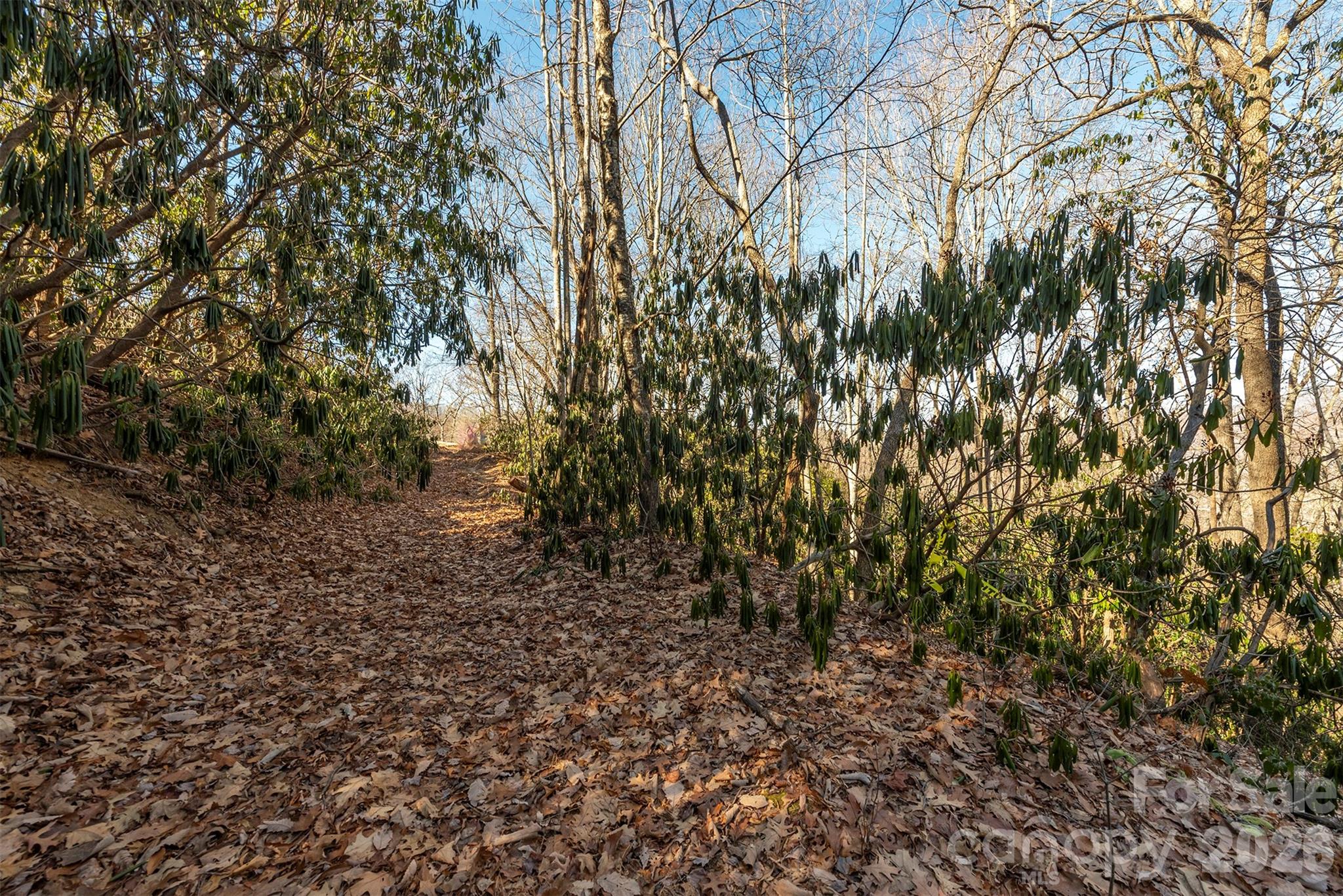 00 Wildflower Cove Road Swannanoa NC 28778