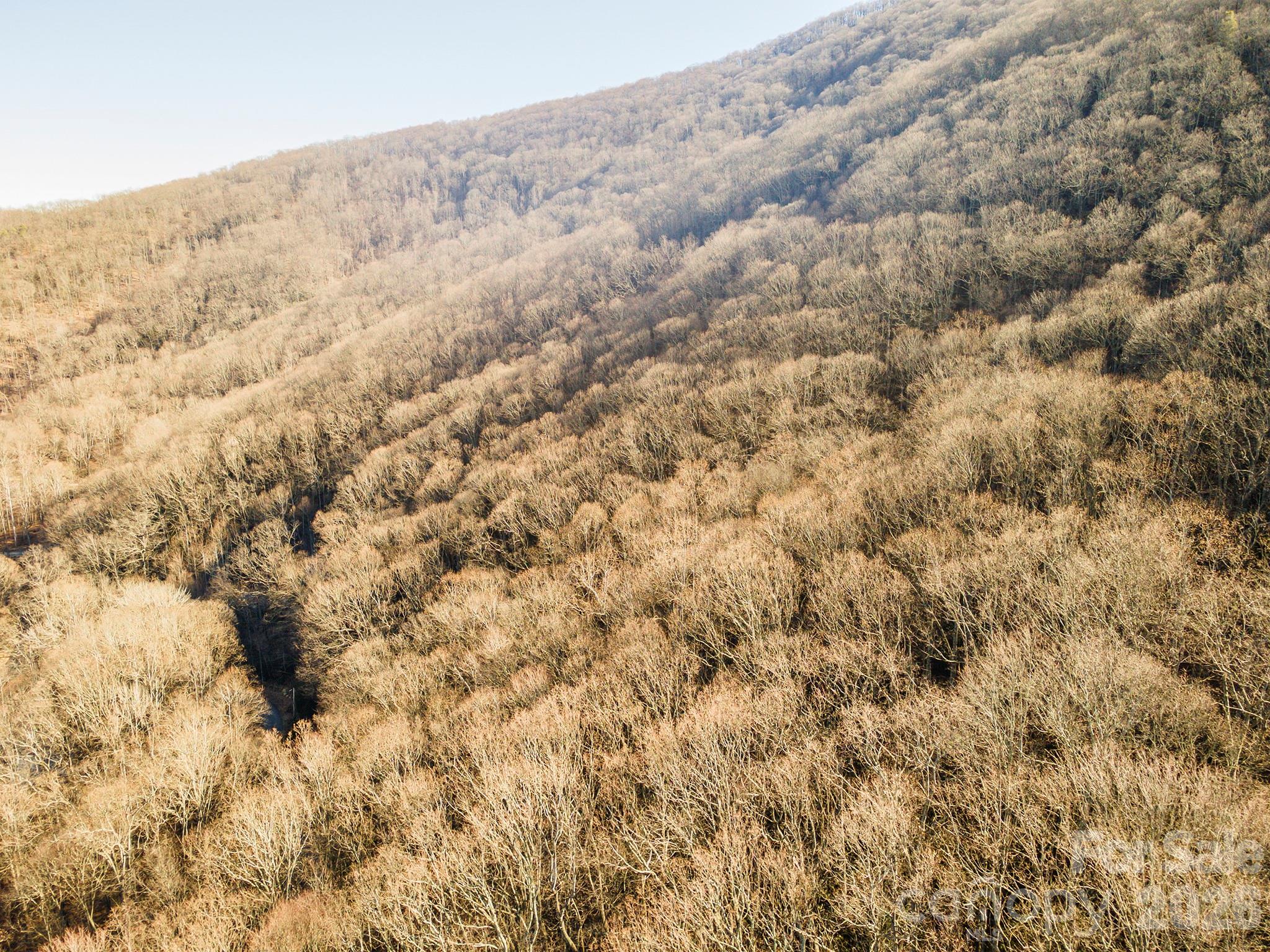 00 Wildflower Cove Road Swannanoa NC 28778