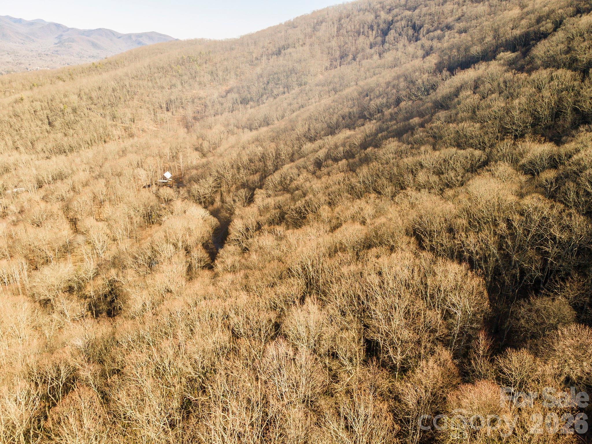 00 Wildflower Cove Road Swannanoa NC 28778