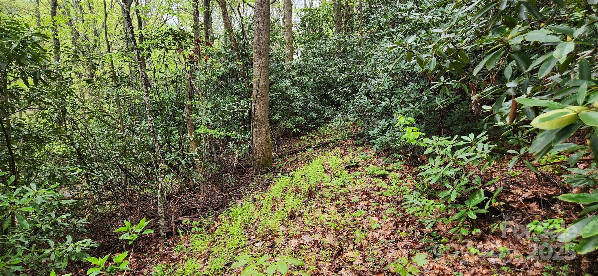 99999 Atherton Way Asheville NC 28803