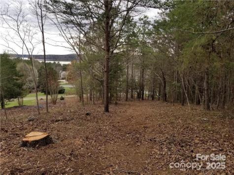 176 Mallard Drive Badin Lake NC 28127