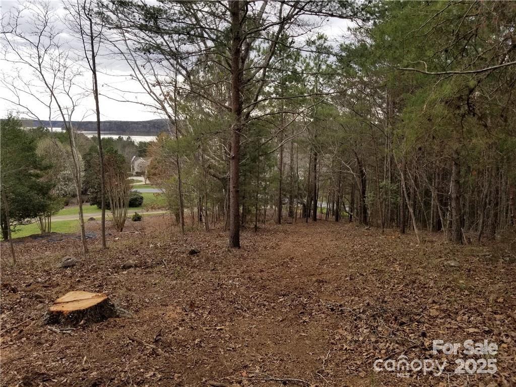 176 Mallard Drive Badin Lake NC 28127