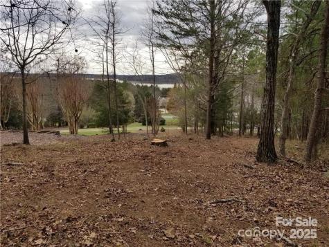 176 Mallard Drive Badin Lake NC 28127
