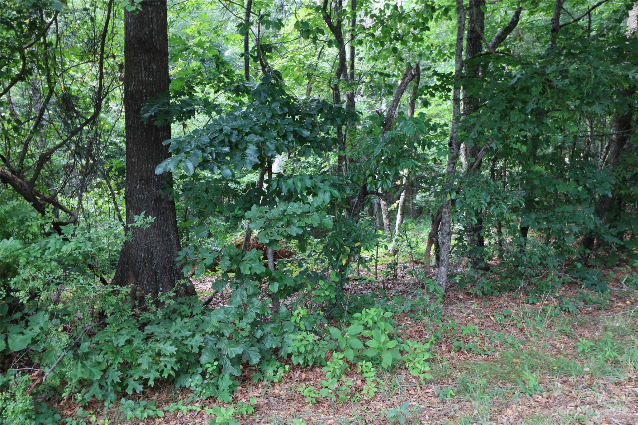 Lot 22 Commercial Drive Forest City NC 28043