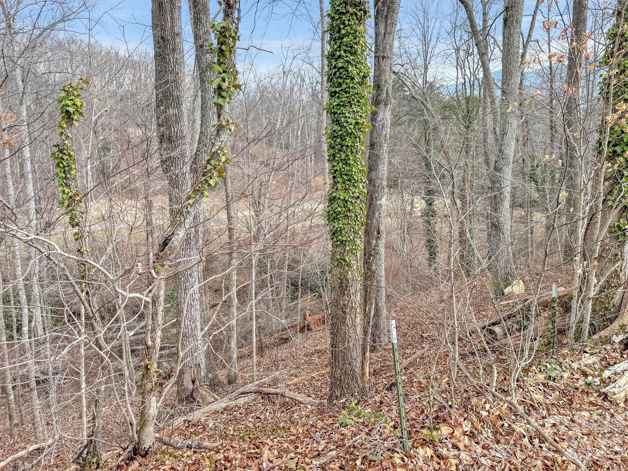 000 Cupp Lane Waynesville NC 28786
