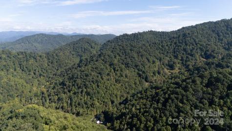 9999 Kelses Valley Drive Mars Hill NC 28754