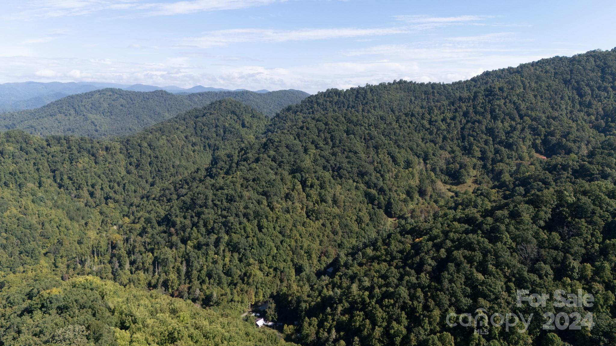 9999 Kelses Valley Drive Mars Hill NC 28754