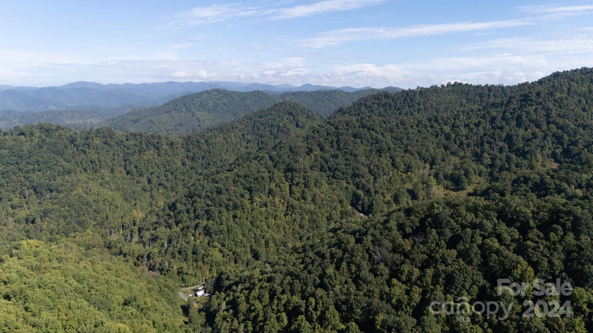 9999 Kelses Valley Drive Mars Hill NC 28754