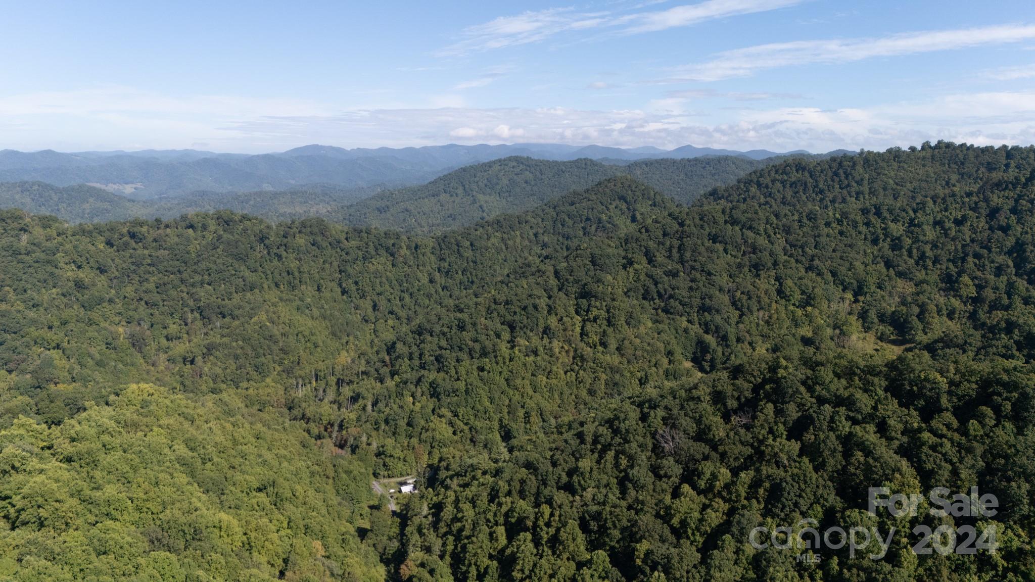 9999 Kelses Valley Drive Mars Hill NC 28754