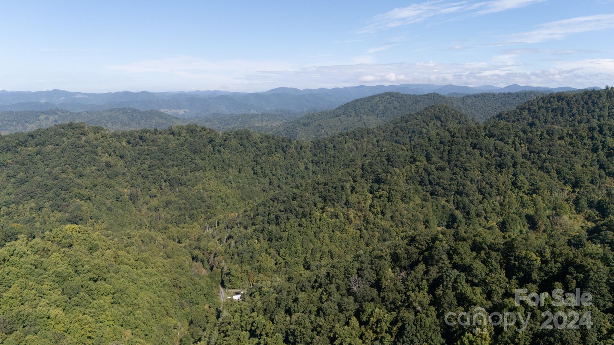 9999 Kelses Valley Drive Mars Hill NC 28754