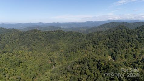 9999 Kelses Valley Drive Mars Hill NC 28754