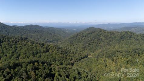 9999 Kelses Valley Drive Mars Hill NC 28754