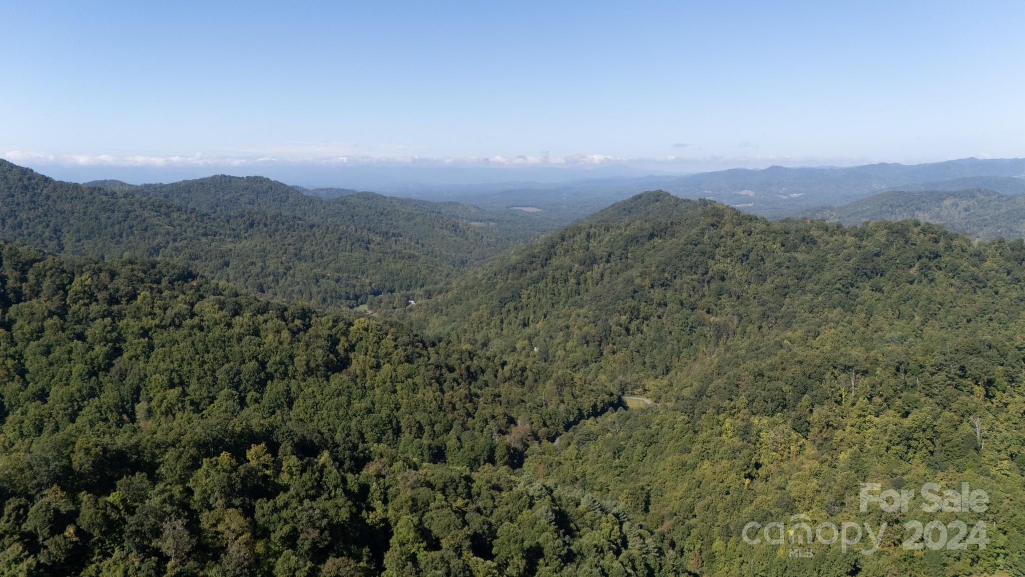 9999 Kelses Valley Drive Mars Hill NC 28754