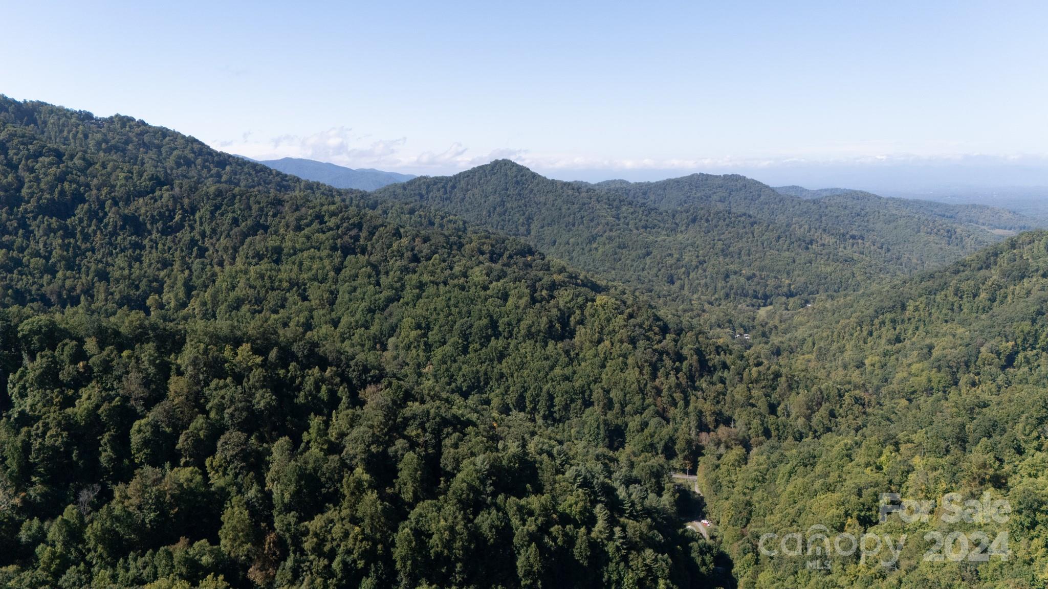 9999 Kelses Valley Drive Mars Hill NC 28754