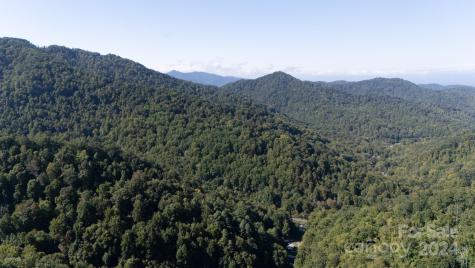 9999 Kelses Valley Drive Mars Hill NC 28754