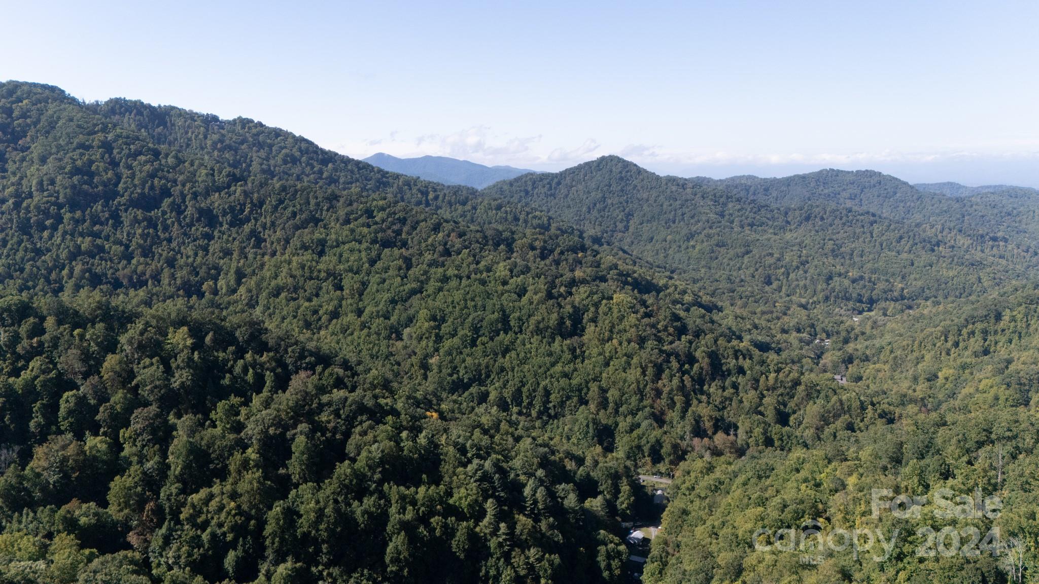 9999 Kelses Valley Drive Mars Hill NC 28754