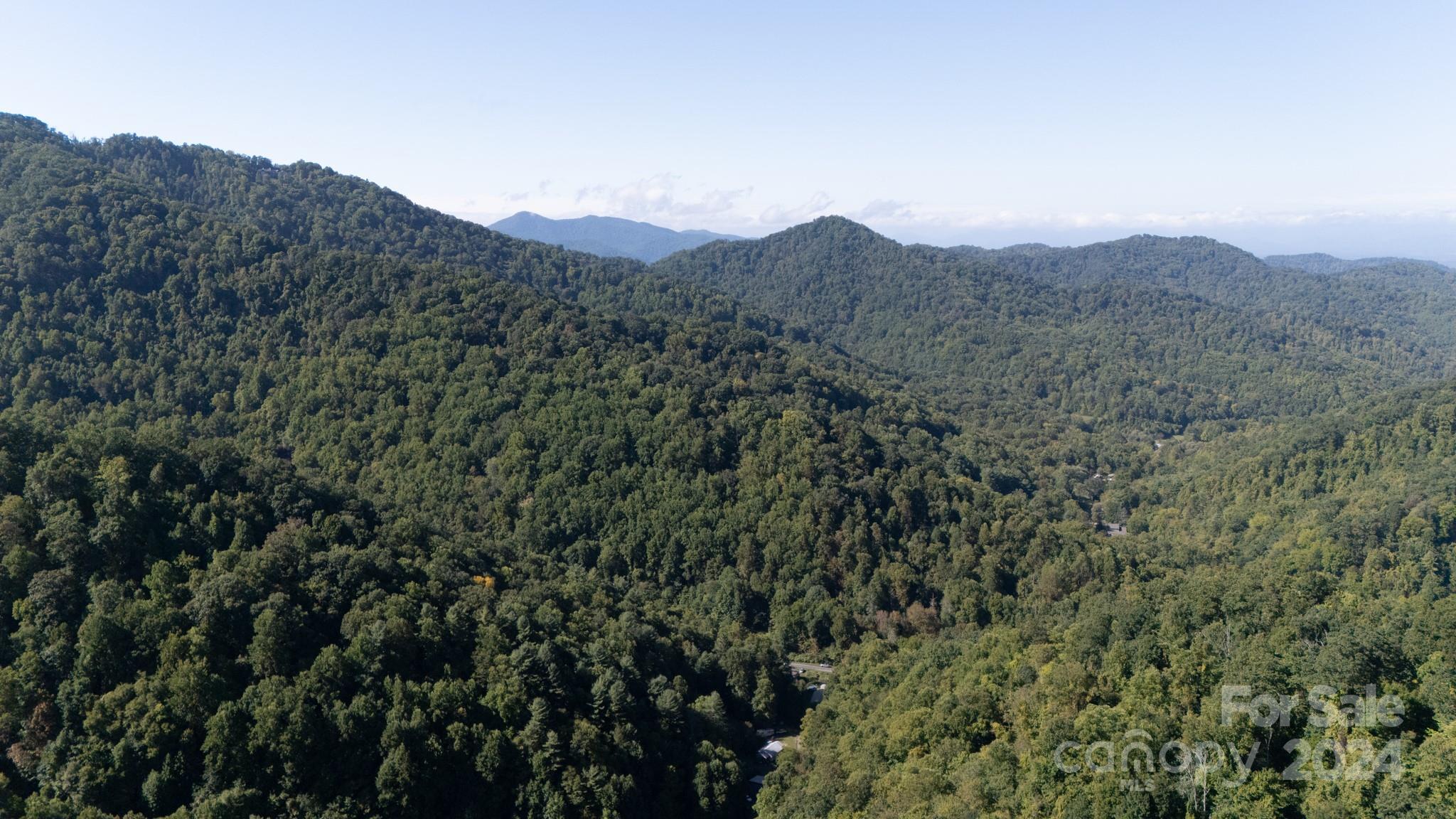 9999 Kelses Valley Drive Mars Hill NC 28754