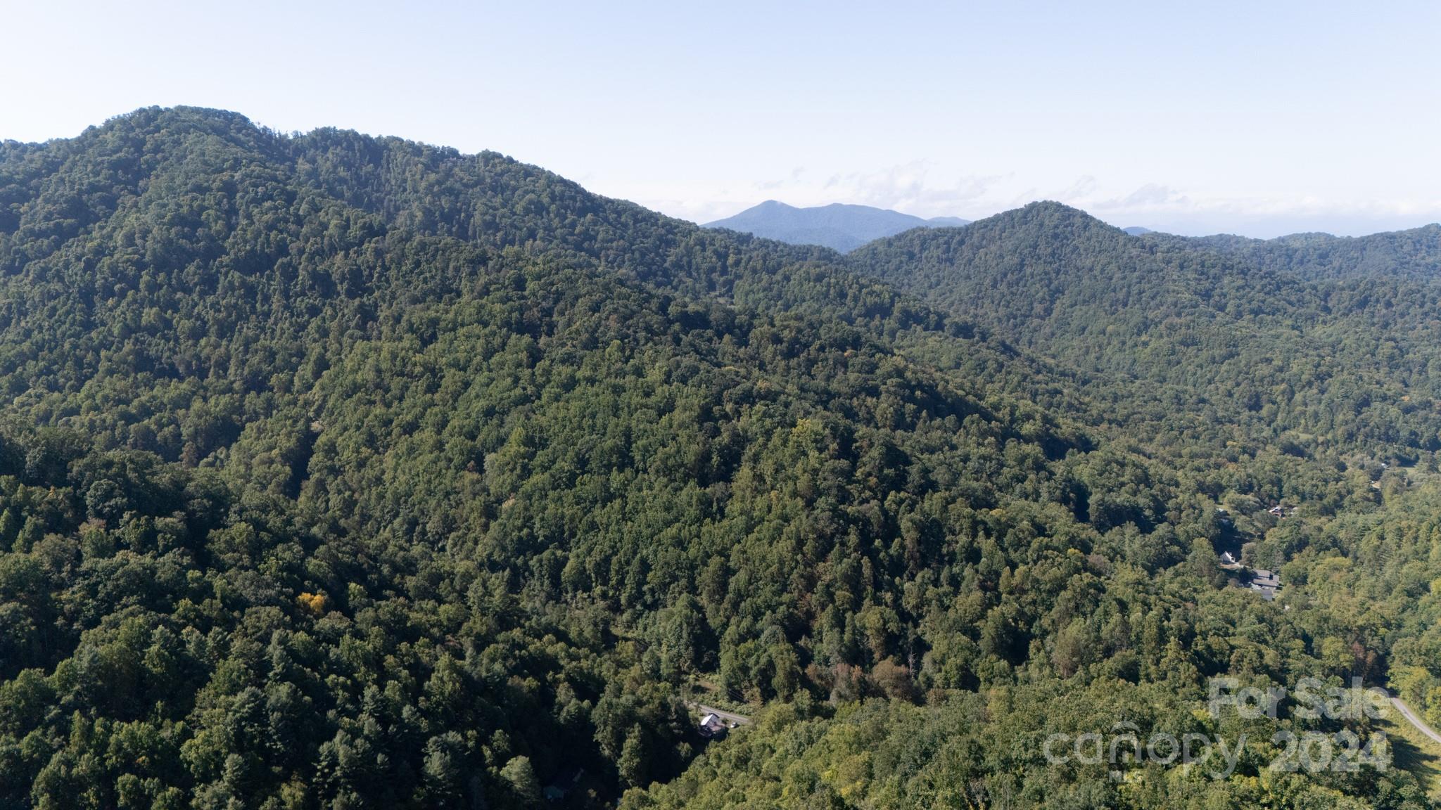 9999 Kelses Valley Drive Mars Hill NC 28754